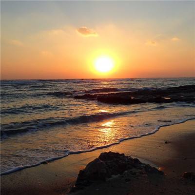 全民彩票手机app下载