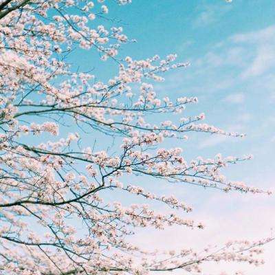 万博全站ManBetX4.79下载截图